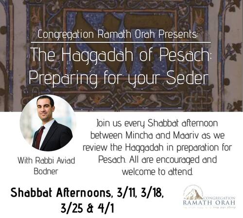 Banner Image for The Haggadah of Pesach: Preparing for your Seder 